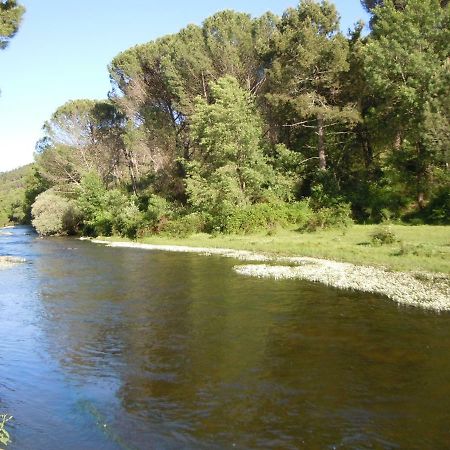 Affittacamere Casa Rebollares I Piedralaves Esterno foto